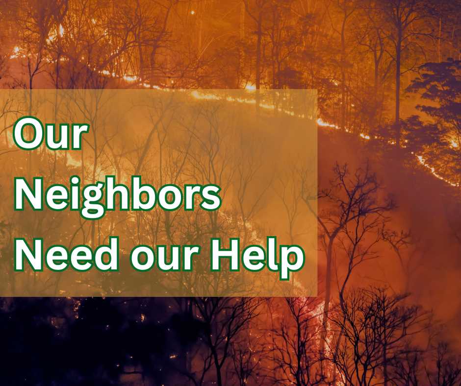 Supporting Southern California Wildfire Relief